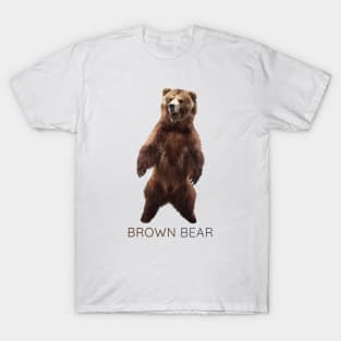 Brown Bear, Grizzly bear, Ursus arctos T-Shirt